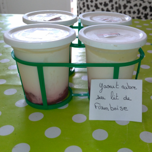 Yaourt sur lit de framboise