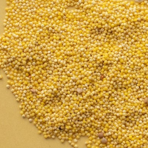 Millet décortiqué de charente