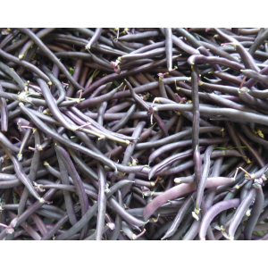 Haricots violets