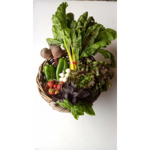 Panier surprise suivant récolte du jour