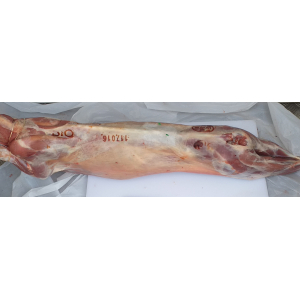 Chevreau de lait entier bio