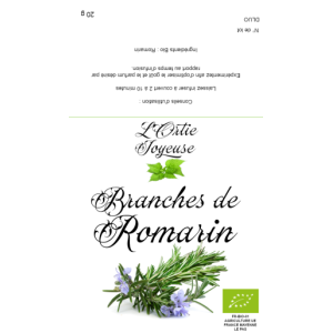 Romarin en branche