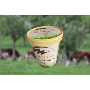 Crème glacée stracciatella