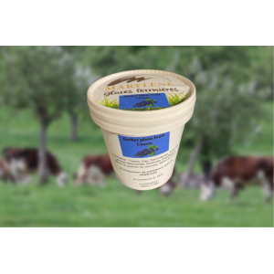 Sorbet cassis 'plein fruit' petit pot