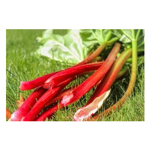 Rhubarbe (500g)