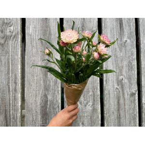 Botte de fleurs - immortelle