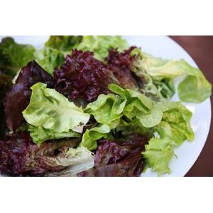 Mesclun