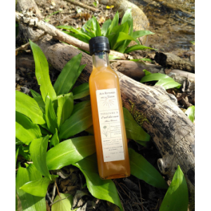 Vinaigre à l'ail des ours