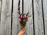 Botte de fleurs - mufliers