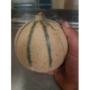 Melon