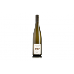 Vin gyotaku terres d'etoiles