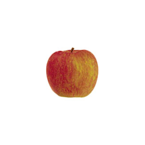 Pomme  fuji vrac 5kg 'petit calibre'