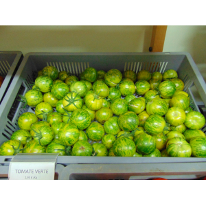 Tomate verte