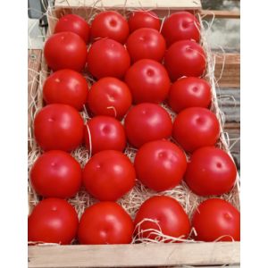 Tomates rondes rouges bio