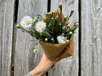 Botte de fleurs - centaurée musquée blanche