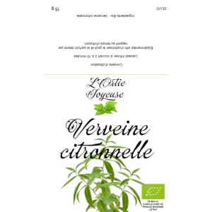 Verveine citronnelle