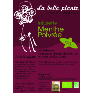 Menthe poivrée