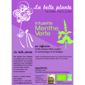 Menthe verte