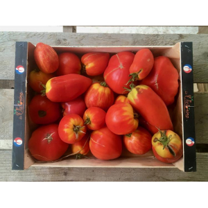 Tomate déclassée pour sauce
