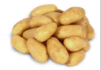Pomme de terre de conservation allians