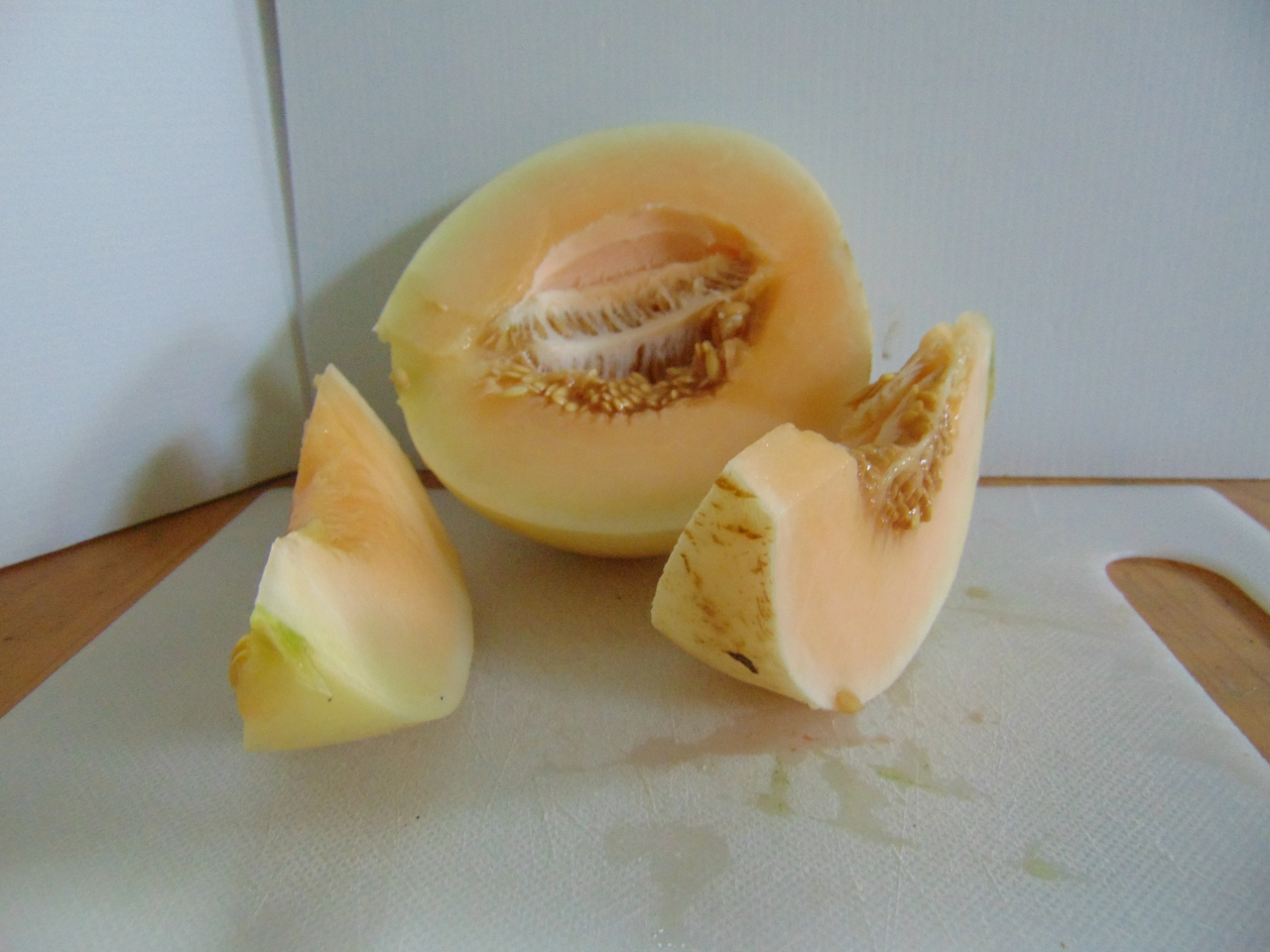 Melon Miel 1 U Willers Hof Locavor Fr