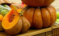 Courge muscade bio  - 1,5kg la part