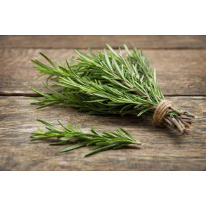 Bouquet de romarin