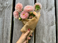 Botte de fleurs - reine marguerite