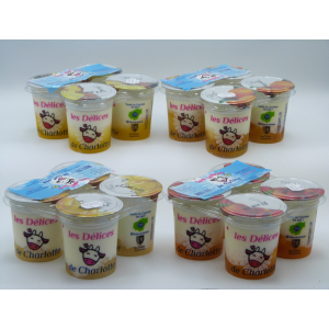 Yaourt brassé sur lit de coco et aromatisé