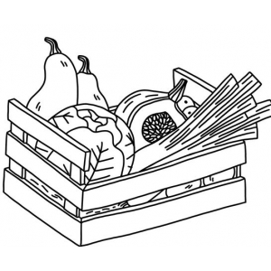 Panier légumes surprise petit modèle