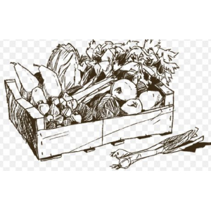 Panier légumes surprise grand modèle