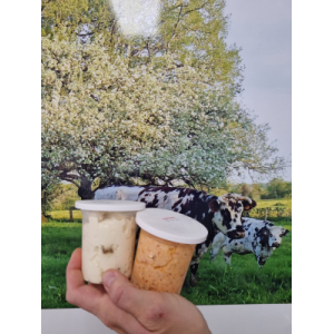 Duo p'tits fromage à tartiner figue/ciboulett