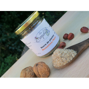 Sucre et plantes noix/noisettes