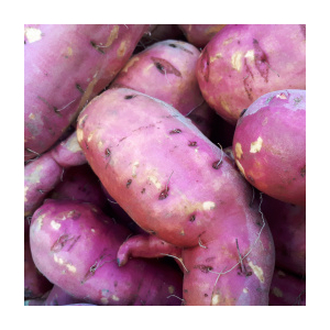 Patates douces bio