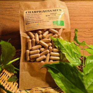 Hydne hérisson (lion's mane) bio en poudre