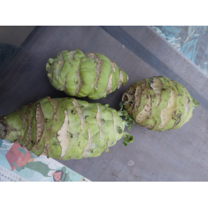 Choux rave blanc à la pièce