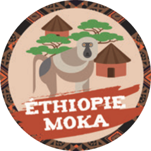 Café ethiopie jebena sidama