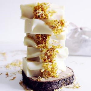 Savon le gône sans huiles essentielles