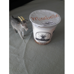Yaourt chèvre mirabelle