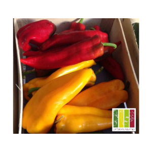 Poivrons rouge et jaune long