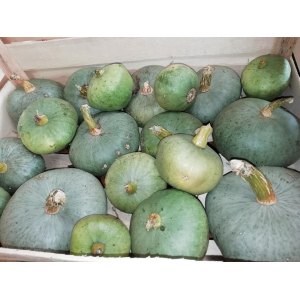 1kg en tranche de bleue de hongrie