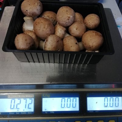 Champignons de paris bruns