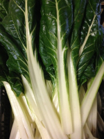 Blettes - botte de 500g