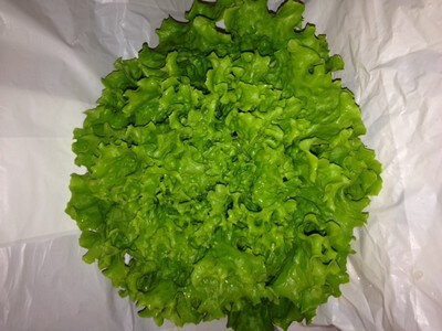 Salade batavia