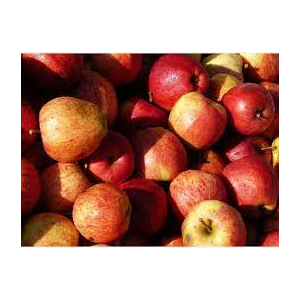 Pomme gala vrac 5kg 'bon marché'