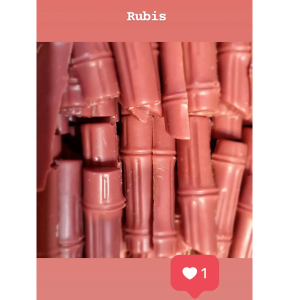 Pousse de bambou ruby