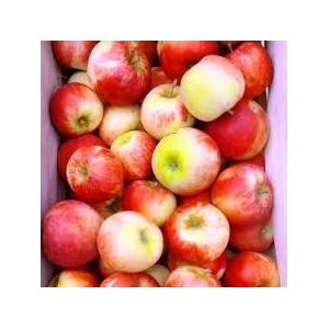 Pomme elstar vrac 5kg 'bon marché'