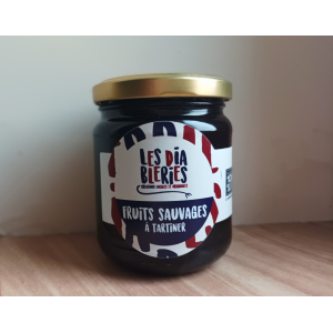 Fruits sauvages à tartiner