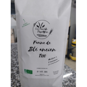 Farine de blé ancien t110