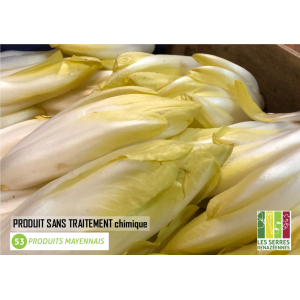 Endive